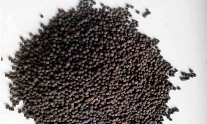 http://www.peelapp.cn